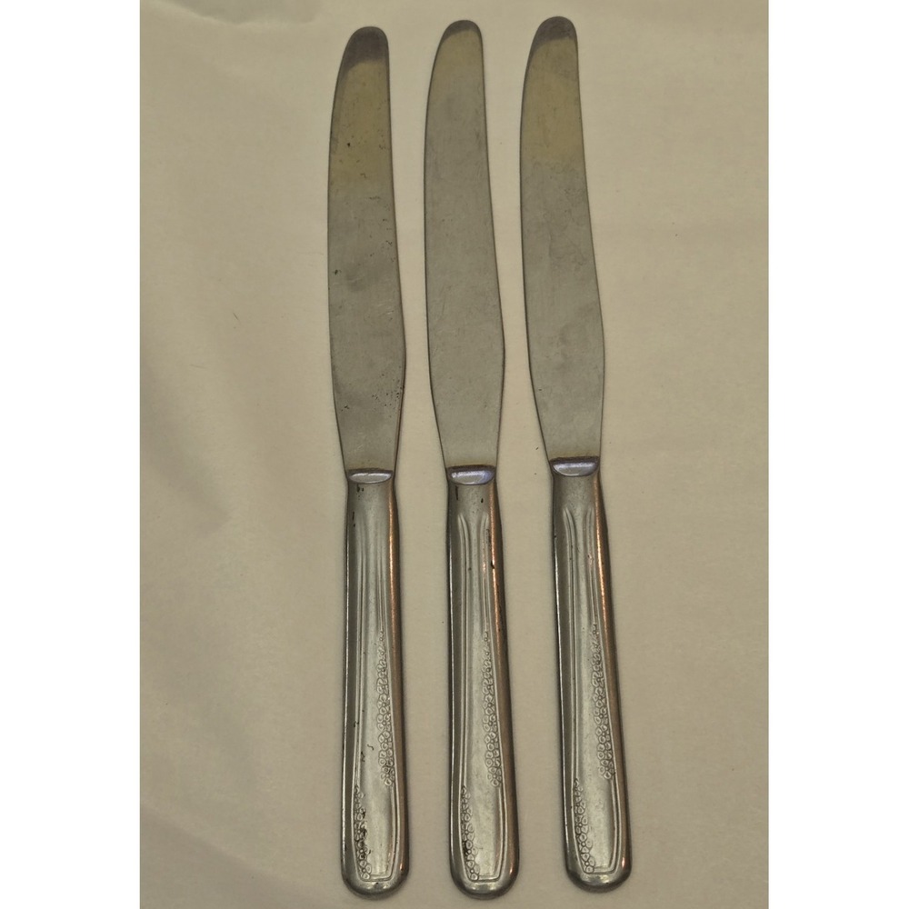 Lot Of 3 National Stainless NS Co Dinner Knives Flower Glossy - Unknown Pattern